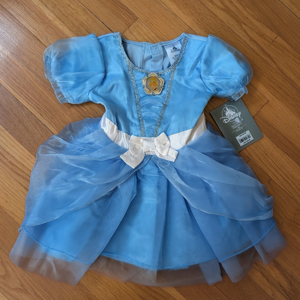 Disney Blue Princess Costume for Kids
